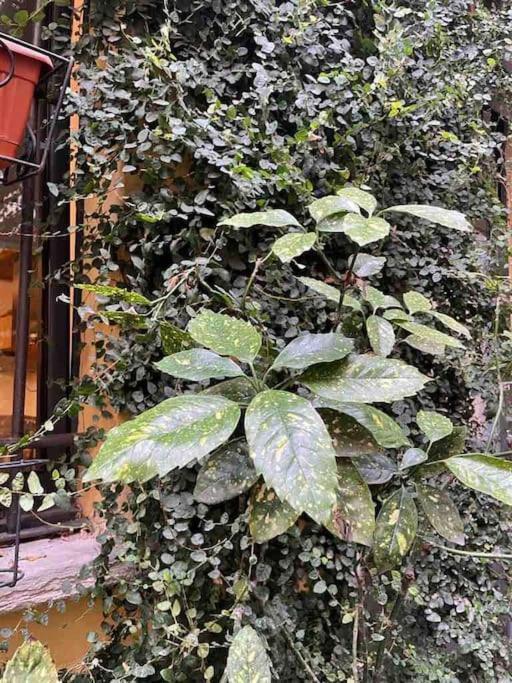 Loft Di Design Nel Cuore Di Milano Exterior foto